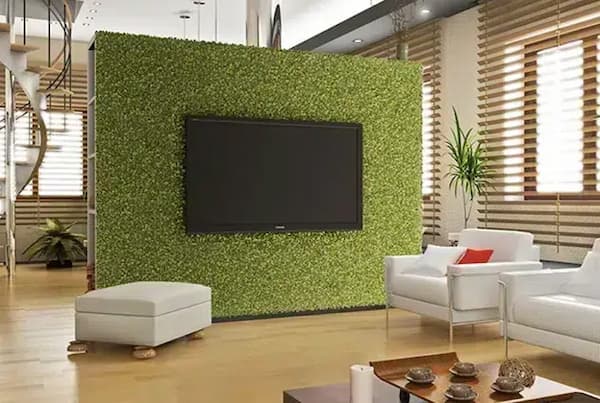 تصویر 3 از قیمت چمن مصنوعی دیوار پوش با کیفیت ارزان + خرید عمده